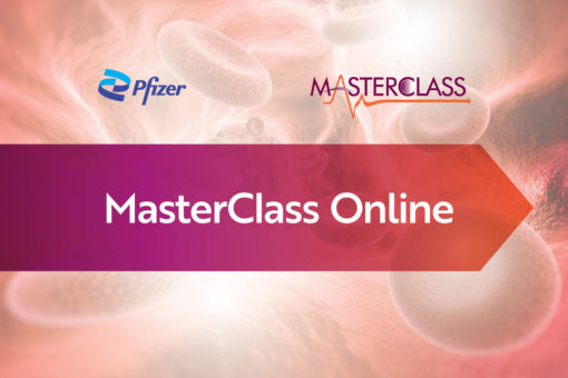 MasterClass Online