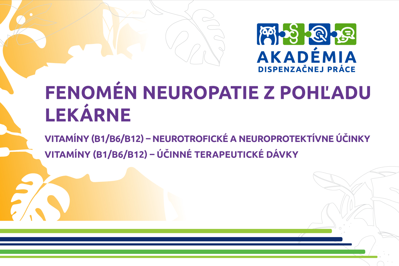 AKADÉMIA DISPENZAČNEJ PRÁCE – FENOMÉN NEUROPATIE Z POHĽADU LEKÁRNE VITAMÍNY (B1/B6/B12) – NEUROTROFICKÉ A NEUROPROTEKTÍVNE ÚČINKY VITAMÍNY (B1/B6/B12) – ÚČINNÉ TERAPEUTICKÉ DÁVKY